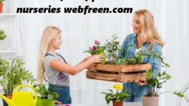 the benefits of plant nurseries webfreen.com