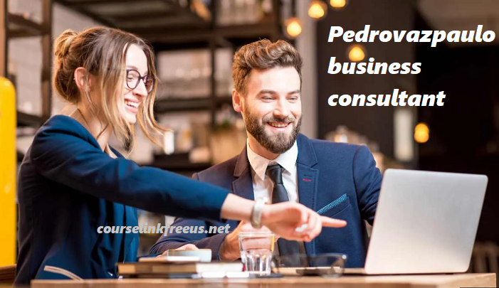 pedrovazpaulo business consultant